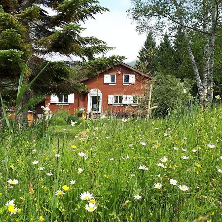 Chalet Chic ไวลด์เฮาส์ ภายนอก รูปภาพ